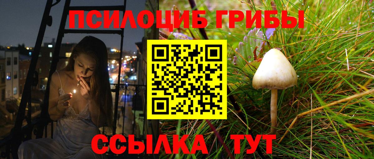 Кисловодск  Псилоцибиновые грибы MAGIC MUSHROOMS  Вход с VPN  Галлюциногенные грибы Psilocybine cubensis 