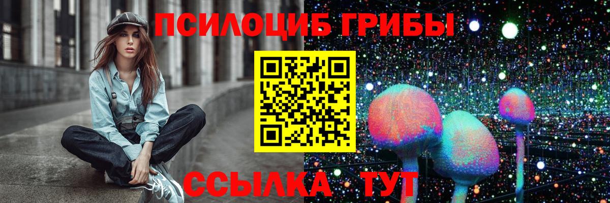 Псилоцибиновые грибы GOLDEN TEACHER Кисловодск